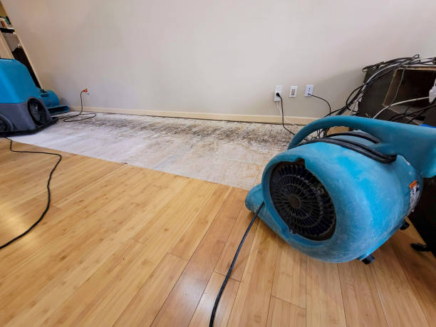 Professional Water Damage Repair technician working in Elmhurst, NY